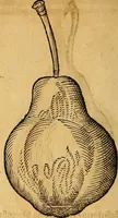 An illustration from Historia novi et admirabilis fontis balneique Bollensis in Ducatu Wirtembergico ad acidulas Goepingenses : mandato illustris. principis ac D.D. Frid. Ducis Vvirtemberg. et Teccensis. Comitis Montisbelig. &c. ac Equ. Ord. Reg. Gall. ad subditorum omniumqu[e] vicinorum & exterorum emolumentum ob vires insignes adornati, (1598)