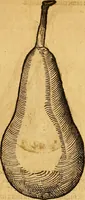 Picture 225 of 257 from Historia novi et admirabilis fontis balneique Bollensis in Ducatu Wirtembergico ad acidulas Goepingenses : mandato illustris. principis ac D.D. Frid. Ducis Vvirtemberg. et Teccensis. Comitis Montisbelig. &c. ac Equ. Ord. Reg. Gall. ad subditorum omniumqu[e] vicinorum & exterorum emolumentum ob vires insignes adornati, (1598), leaf 470