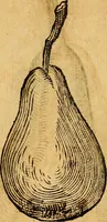 Picture 226 of 257 from Historia novi et admirabilis fontis balneique Bollensis in Ducatu Wirtembergico ad acidulas Goepingenses : mandato illustris. principis ac D.D. Frid. Ducis Vvirtemberg. et Teccensis. Comitis Montisbelig. &c. ac Equ. Ord. Reg. Gall. ad subditorum omniumqu[e] vicinorum & exterorum emolumentum ob vires insignes adornati, (1598), leaf 471