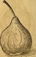 Picture 228 of 257 from Historia novi et admirabilis fontis balneique Bollensis in Ducatu Wirtembergico ad acidulas Goepingenses : mandato illustris. principis ac D.D. Frid. Ducis Vvirtemberg. et Teccensis. Comitis Montisbelig. &c. ac Equ. Ord. Reg. Gall. ad subditorum omniumqu[e] vicinorum & exterorum emolumentum ob vires insignes adornati, (1598), leaf 473