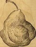 Picture 230 of 257 from Historia novi et admirabilis fontis balneique Bollensis in Ducatu Wirtembergico ad acidulas Goepingenses : mandato illustris. principis ac D.D. Frid. Ducis Vvirtemberg. et Teccensis. Comitis Montisbelig. &c. ac Equ. Ord. Reg. Gall. ad subditorum omniumqu[e] vicinorum & exterorum emolumentum ob vires insignes adornati, (1598), leaf 475