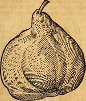Picture 231 of 257 from Historia novi et admirabilis fontis balneique Bollensis in Ducatu Wirtembergico ad acidulas Goepingenses : mandato illustris. principis ac D.D. Frid. Ducis Vvirtemberg. et Teccensis. Comitis Montisbelig. &c. ac Equ. Ord. Reg. Gall. ad subditorum omniumqu[e] vicinorum & exterorum emolumentum ob vires insignes adornati, (1598), leaf 476