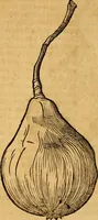 Picture 232 of 257 from Historia novi et admirabilis fontis balneique Bollensis in Ducatu Wirtembergico ad acidulas Goepingenses : mandato illustris. principis ac D.D. Frid. Ducis Vvirtemberg. et Teccensis. Comitis Montisbelig. &c. ac Equ. Ord. Reg. Gall. ad subditorum omniumqu[e] vicinorum & exterorum emolumentum ob vires insignes adornati, (1598), leaf 477