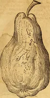 An illustration from Historia novi et admirabilis fontis balneique Bollensis in Ducatu Wirtembergico ad acidulas Goepingenses : mandato illustris. principis ac D.D. Frid. Ducis Vvirtemberg. et Teccensis. Comitis Montisbelig. &c. ac Equ. Ord. Reg. Gall. ad subditorum omniumqu[e] vicinorum & exterorum emolumentum ob vires insignes adornati, (1598)