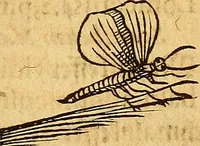 An illustration from Historia novi et admirabilis fontis balneique Bollensis in Ducatu Wirtembergico ad acidulas Goepingenses : mandato illustris. principis ac D.D. Frid. Ducis Vvirtemberg. et Teccensis. Comitis Montisbelig. &c. ac Equ. Ord. Reg. Gall. ad subditorum omniumqu[e] vicinorum & exterorum emolumentum ob vires insignes adornati, (1598)