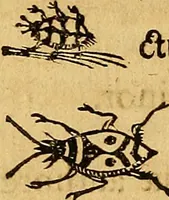 An illustration from Historia novi et admirabilis fontis balneique Bollensis in Ducatu Wirtembergico ad acidulas Goepingenses : mandato illustris. principis ac D.D. Frid. Ducis Vvirtemberg. et Teccensis. Comitis Montisbelig. &c. ac Equ. Ord. Reg. Gall. ad subditorum omniumqu[e] vicinorum & exterorum emolumentum ob vires insignes adornati, (1598)