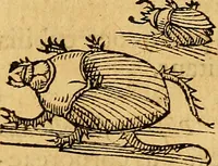 An illustration from Historia novi et admirabilis fontis balneique Bollensis in Ducatu Wirtembergico ad acidulas Goepingenses : mandato illustris. principis ac D.D. Frid. Ducis Vvirtemberg. et Teccensis. Comitis Montisbelig. &c. ac Equ. Ord. Reg. Gall. ad subditorum omniumqu[e] vicinorum & exterorum emolumentum ob vires insignes adornati, (1598)