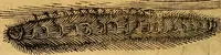 An illustration from Historia novi et admirabilis fontis balneique Bollensis in Ducatu Wirtembergico ad acidulas Goepingenses : mandato illustris. principis ac D.D. Frid. Ducis Vvirtemberg. et Teccensis. Comitis Montisbelig. &c. ac Equ. Ord. Reg. Gall. ad subditorum omniumqu[e] vicinorum & exterorum emolumentum ob vires insignes adornati, (1598)