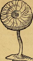 Picture 255 of 257 from Historia novi et admirabilis fontis balneique Bollensis in Ducatu Wirtembergico ad acidulas Goepingenses : mandato illustris. principis ac D.D. Frid. Ducis Vvirtemberg. et Teccensis. Comitis Montisbelig. &c. ac Equ. Ord. Reg. Gall. ad subditorum omniumqu[e] vicinorum & exterorum emolumentum ob vires insignes adornati, (1598), leaf 573