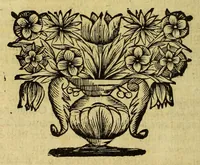 An illustration from Historia orbis terrarum, geographica et civilis, de variis negotiis : nostri potiss. & superioris seculi, aliisve rebus selectioribus (1692)