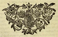 Picture 4 of 14 from Historia orbis terrarum, geographica et civilis, de variis negotiis : nostri potiss. & superioris seculi, aliisve rebus selectioribus (1680), leaf 174