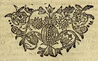 An illustration from Historia orbis terrarum, geographica et civilis, de variis negotiis : nostri potiss. & superioris seculi, aliisve rebus selectioribus (1680)