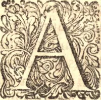An illustration from Historia Papatus (1684)