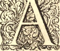 An illustration from Historia Papatus (1684)