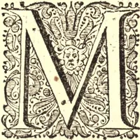An illustration from Historia Papatus (1684)