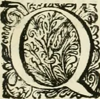 Picture 5 of 78 from Historia Ptolemaeorum Aegypti regum : ad fidem numismatum accommodata (1701), leaf 8