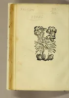 An illustration from Historiarum et chronicorum mundi epitome velut index (1532)