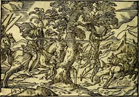Picture 94 of 134 from Historiarvm memorabilivm ex Exodo, sequentibusq́ [] libris descriptio (1558), leaf 107