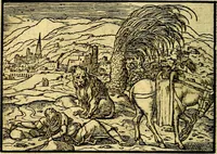 An illustration from Historiarvm memorabilivm ex Exodo, sequentibusq́ [] libris descriptio (1558)