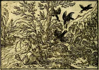 Picture 100 of 134 from Historiarvm memorabilivm ex Exodo, sequentibusq́ [] libris descriptio (1558), leaf 113