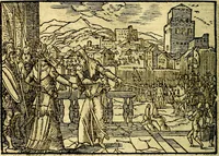 Picture 104 of 134 from Historiarvm memorabilivm ex Exodo, sequentibusq́ [] libris descriptio (1558), leaf 117