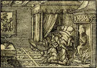 Picture 119 of 134 from Historiarvm memorabilivm ex Exodo, sequentibusq́ [] libris descriptio (1558), leaf 132