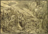Picture 124 of 134 from Historiarvm memorabilivm ex Exodo, sequentibusq́ [] libris descriptio (1558), leaf 137