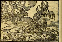 Picture 12 of 134 from Historiarvm memorabilivm ex Exodo, sequentibusq́ [] libris descriptio (1558), leaf 21