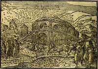 Picture 22 of 134 from Historiarvm memorabilivm ex Exodo, sequentibusq́ [] libris descriptio (1558), leaf 31