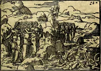 Picture 37 of 134 from Historiarvm memorabilivm ex Exodo, sequentibusq́ [] libris descriptio (1558), leaf 46