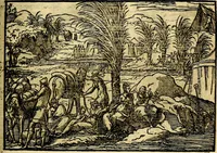 Picture 39 of 134 from Historiarvm memorabilivm ex Exodo, sequentibusq́ [] libris descriptio (1558), leaf 48