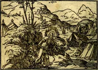 Picture 60 of 134 from Historiarvm memorabilivm ex Exodo, sequentibusq́ [] libris descriptio (1558), leaf 71
