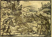 Picture 62 of 134 from Historiarvm memorabilivm ex Exodo, sequentibusq́ [] libris descriptio (1558), leaf 73