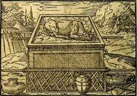 Picture 70 of 134 from Historiarvm memorabilivm ex Exodo, sequentibusq́ [] libris descriptio (1558), leaf 81