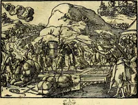 Picture 74 of 134 from Historiarvm memorabilivm ex Exodo, sequentibusq́ [] libris descriptio (1558), leaf 86