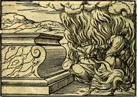 Picture 77 of 134 from Historiarvm memorabilivm ex Exodo, sequentibusq́ [] libris descriptio (1558), leaf 89