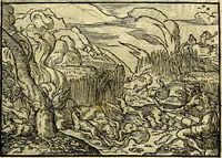 Picture 86 of 134 from Historiarvm memorabilivm ex Exodo, sequentibusq́ [] libris descriptio (1558), leaf 98