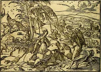 Picture 25 of 90 from Historiarvm memorabilivm ex Genesi descriptio (1558), leaf 31