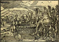 Picture 35 of 90 from Historiarvm memorabilivm ex Genesi descriptio (1558), leaf 42