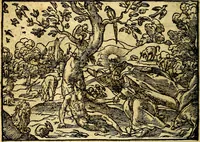 An illustration from Historiarvm memorabilivm ex Genesi descriptio (1558)