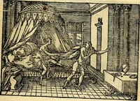 Picture 63 of 90 from Historiarvm memorabilivm ex Genesi descriptio (1558), leaf 70