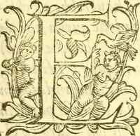 An illustration from Historia trivigiana (1591)
