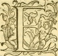 An illustration from Historia trivigiana (1591)