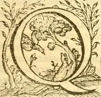 Picture 7 of 31 from Historia trivigiana (1591), leaf 22