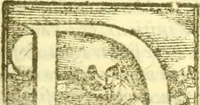 Picture 16 of 31 from Historia trivigiana (1591), leaf 234