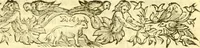 An illustration from Historia trivigiana (1591)