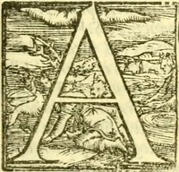 An illustration from Historia trivigiana (1591)