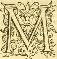 An illustration from Historia trivigiana (1591)