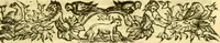 Picture 21 of 31 from Historia trivigiana (1591), leaf 406