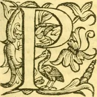 An illustration from Historia trivigiana (1591)